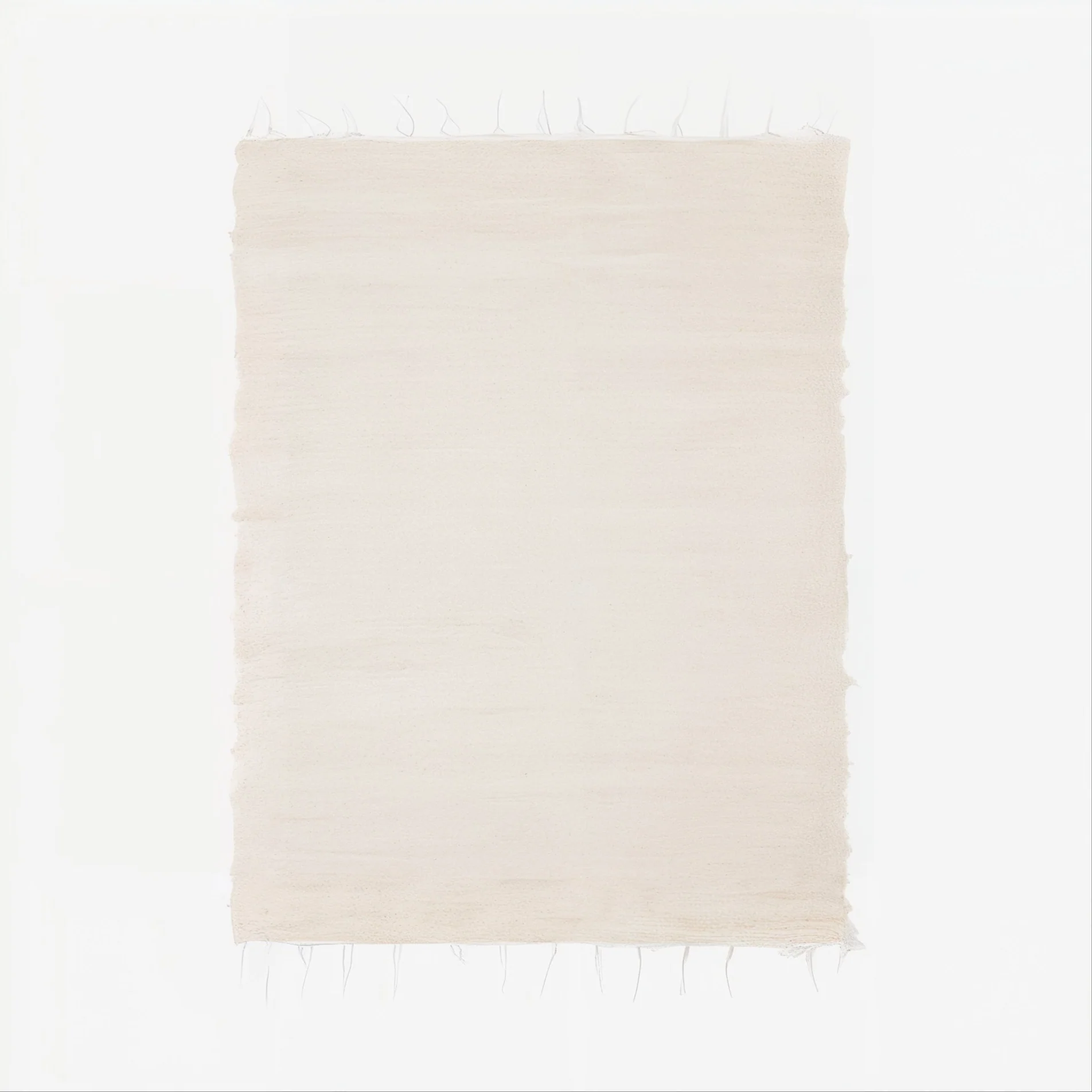 Natural Cotton Fringe Rug - Image 6